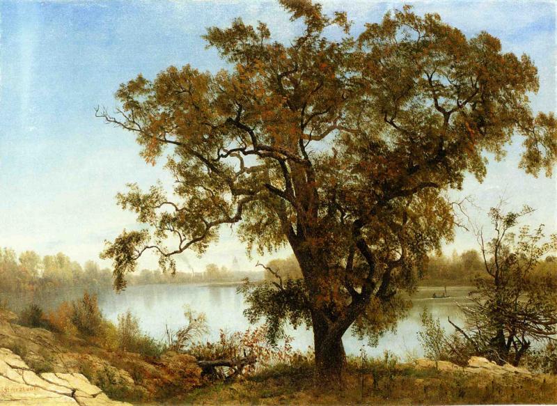 Albert Bierstadt A View From Sacramento oil painting image